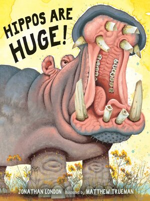 cover image of Hippos Are Huge!